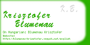 krisztofer blumenau business card